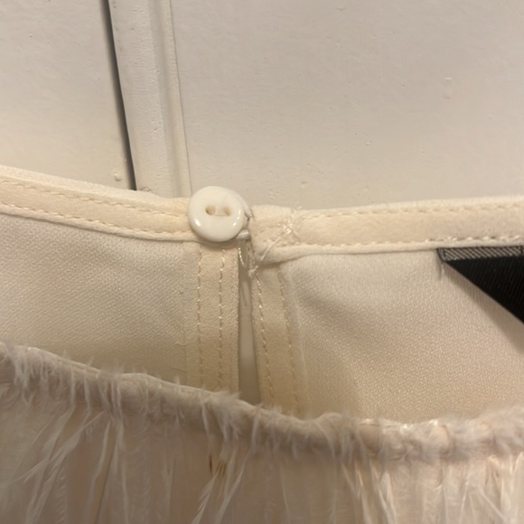 Zara Basic Collection Feather Blouse - Picture 5 of 5